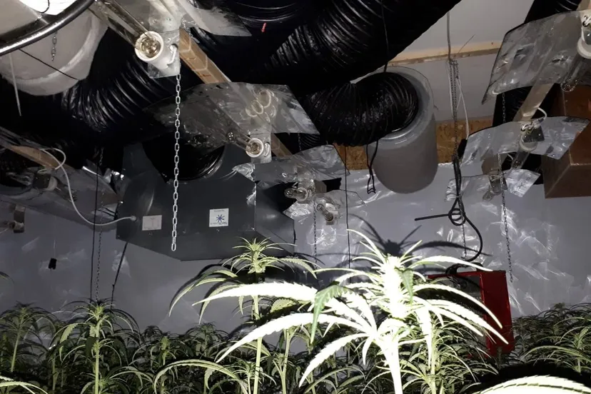 54257047 358046168131326 432473927915143168 o