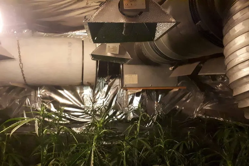 55887748 367102107225732 4737339676128444416 o