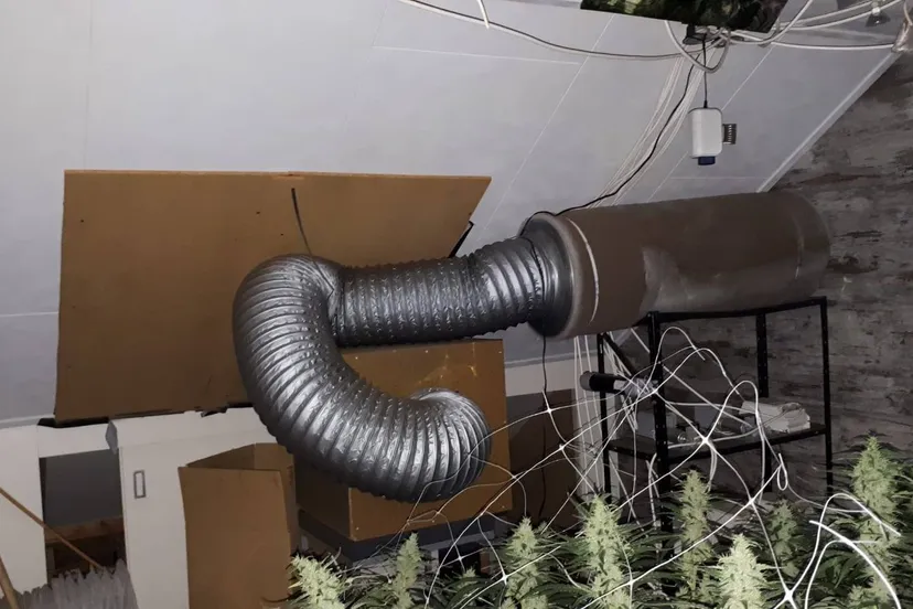 57024061 372764456659497 6870051767661363200 o