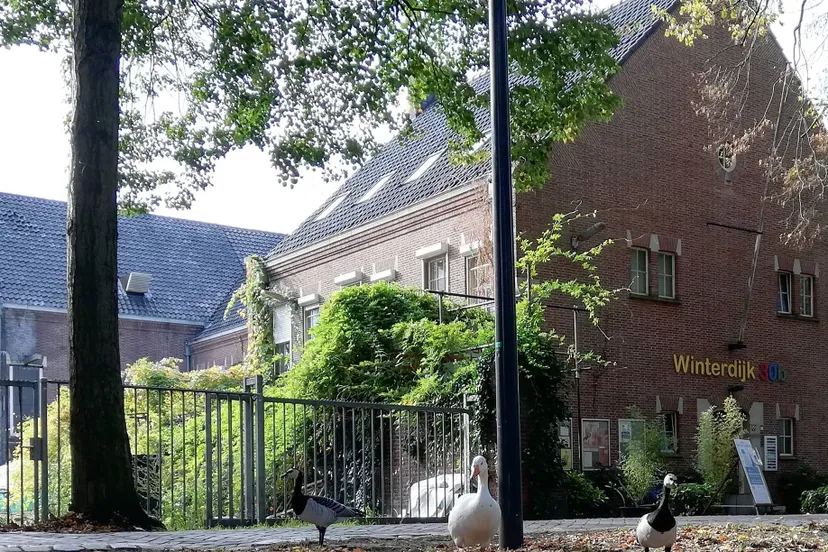 64676968 2378456078843741 6307573775311306752 o