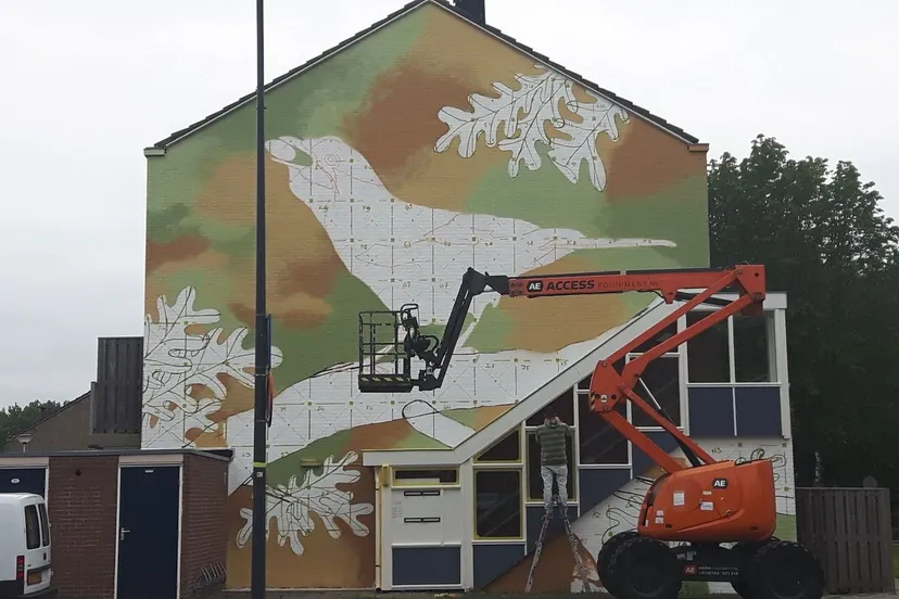 66689116 2338551933059301 8780827153659854848 o