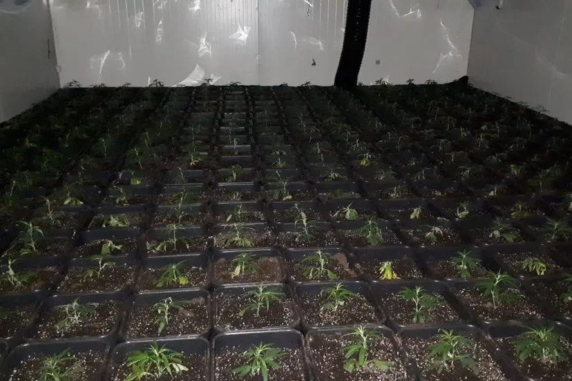 67303522 420572948545314 5938009530460798976 o