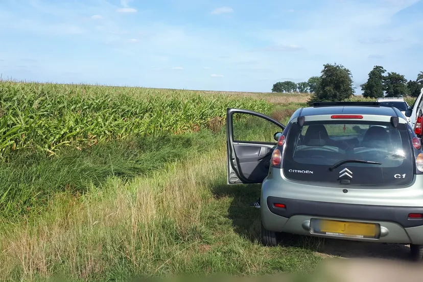 68900121 434856700450272 4357999132229500928 o