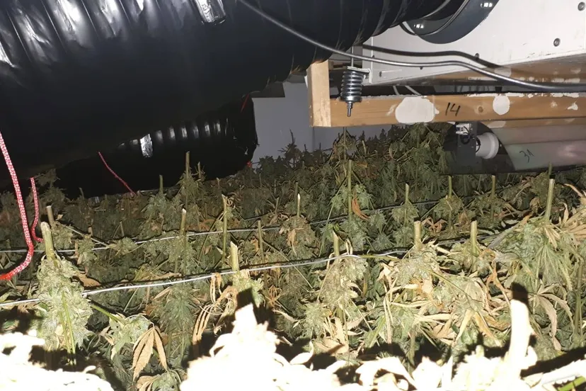 72379354 463055730963702 7075802133026570240 o