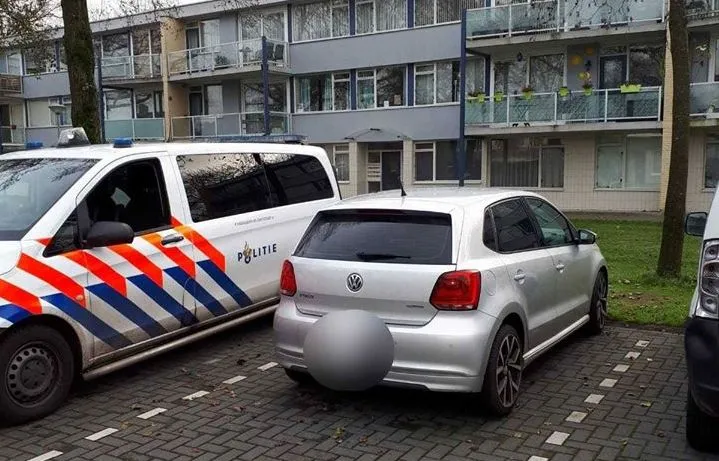 78689592 507106179891990 3768133039670951936 o