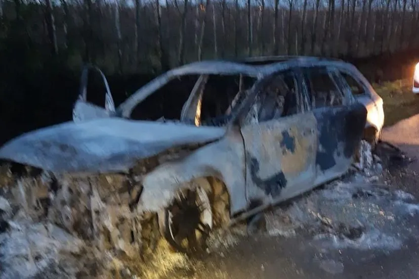 80070669 515846892351252 1857733742483734528 o