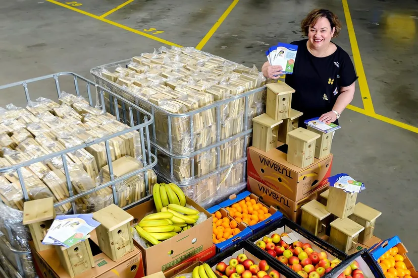 82521184 3013509298726253 460165653912443585 o