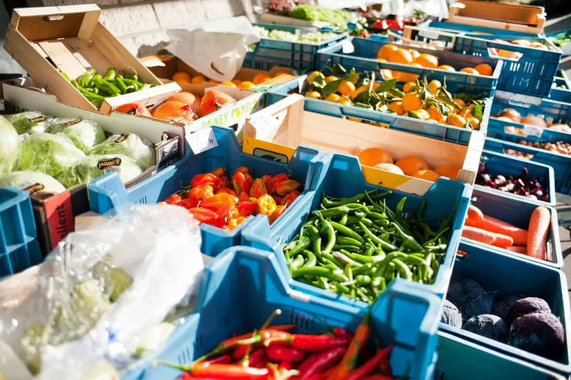 89893487 2758297317580787 3544718483134611456 o