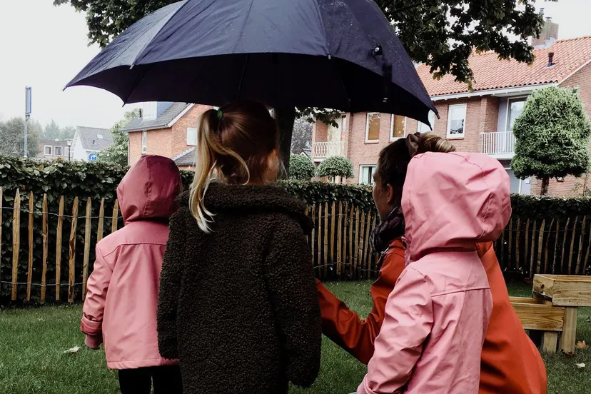 8cd505b6 215e 496d 9e6d bd5513c67b3d