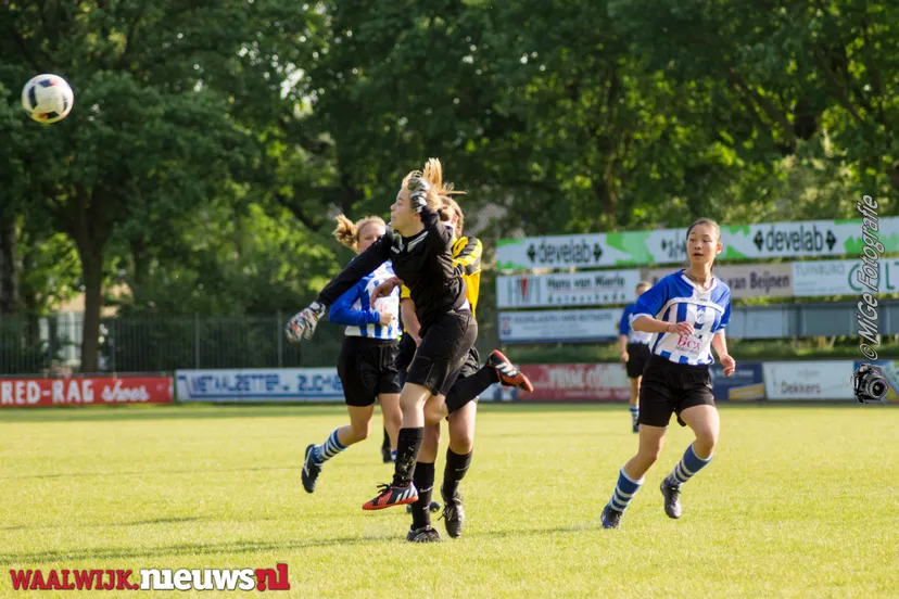 baardwijk bladella 1 van 5