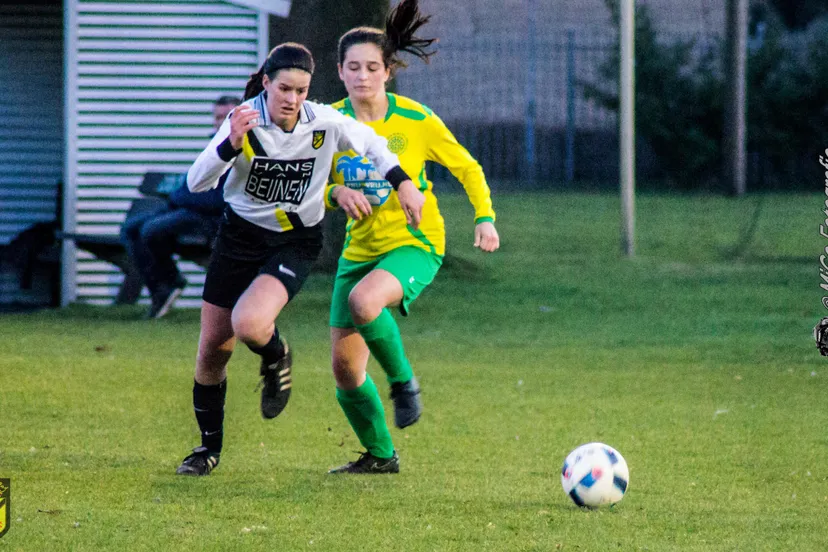 baardwijk blc 8 van 16