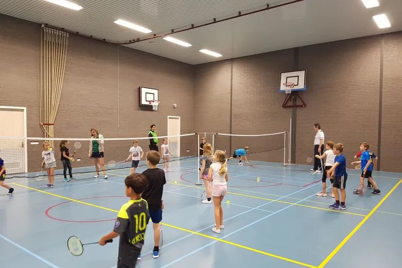 badminton clinics fst