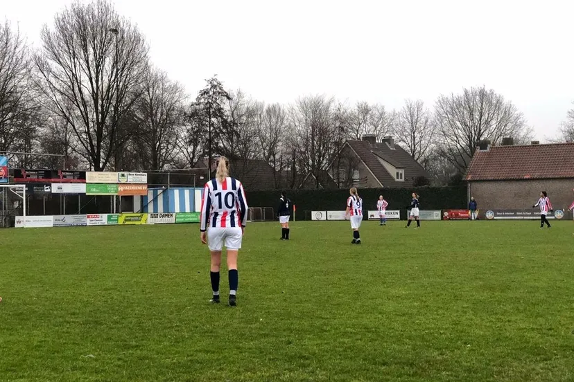 blauw wit rwb vr1zat b