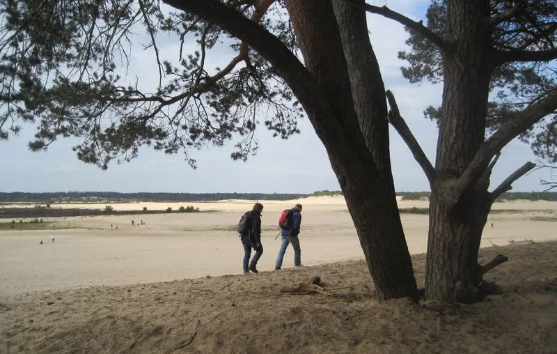 c nationaal park de loonse en drunense duinen stevig stappen in de duinen