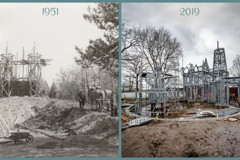 de zes zwanen en kasteel doornroosje 16 9