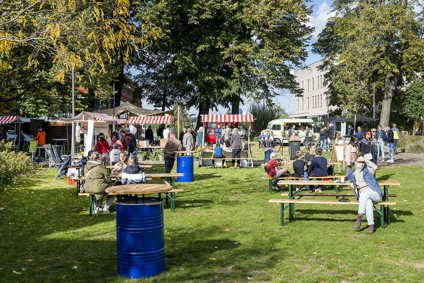 een bruisende hooisteeg tijdens samen doen samen groen