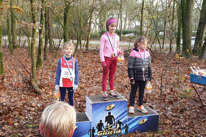 enclave cross 2019 8