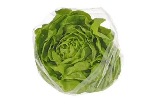 foto belangrijke veiligheidswaarschuwing ah kropsla albert heijn