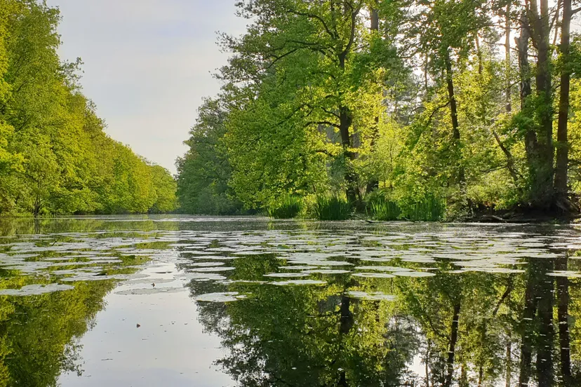foto expositie chantal maartens