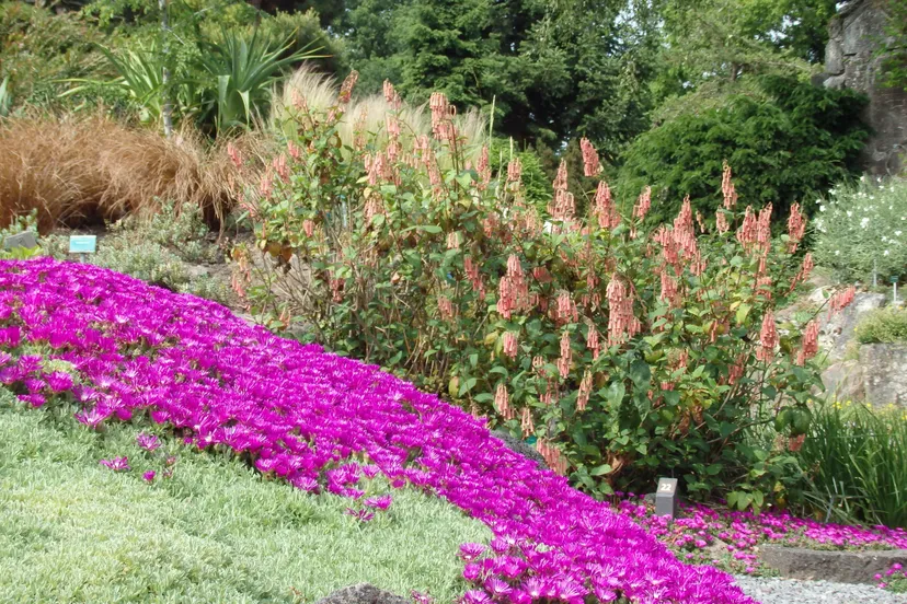 foto hoe hard is winterhard