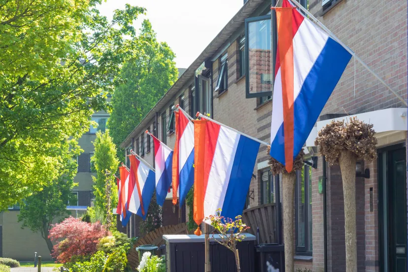 foto nederlandse vlaggen