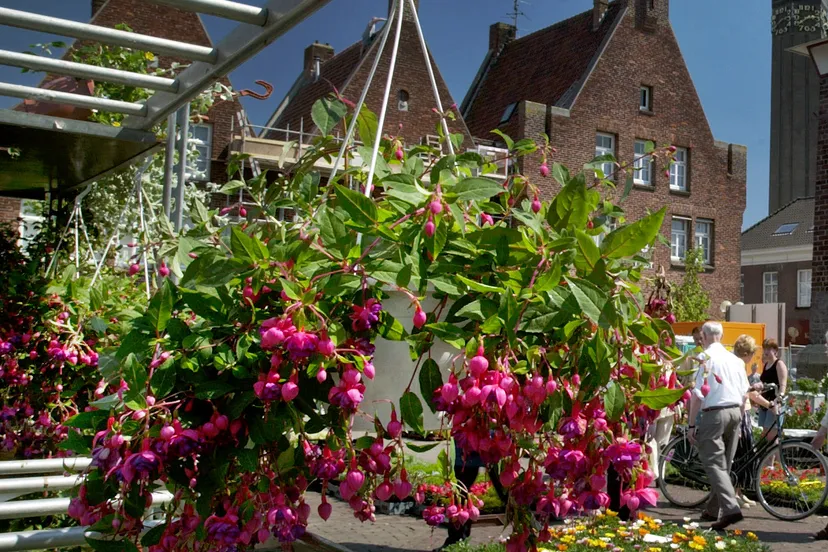 foto weekmarkt1 met logo