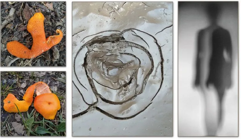 fotocompilatie nicolette peters