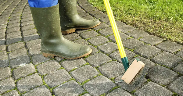 groene aanslag verwijderen delen