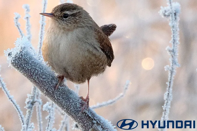 hdd422 01 post winterinspectie2023 fb 1080x1080 1