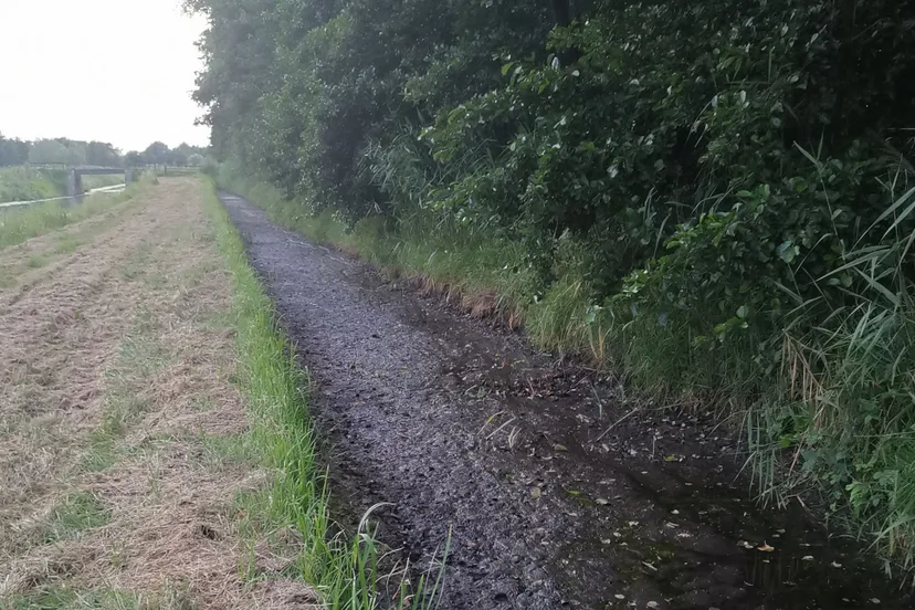 img 20220728 214556 resized 20220730 110058000