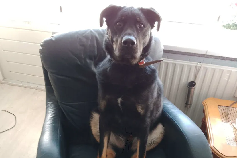 img 20230405 104807 569