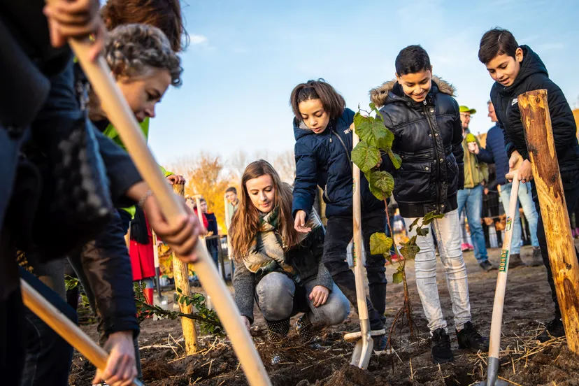 ivn tinyforest rechtenvrij 4 lr