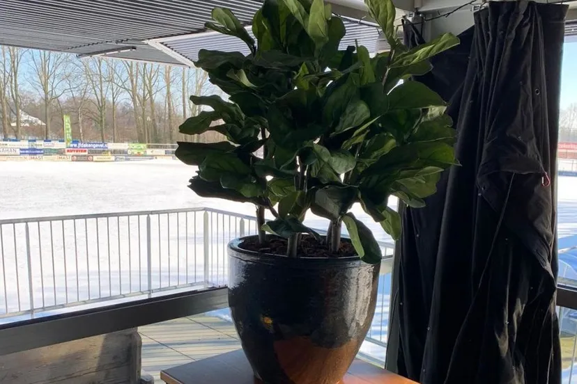 kunstbeplanting sv capelle 1