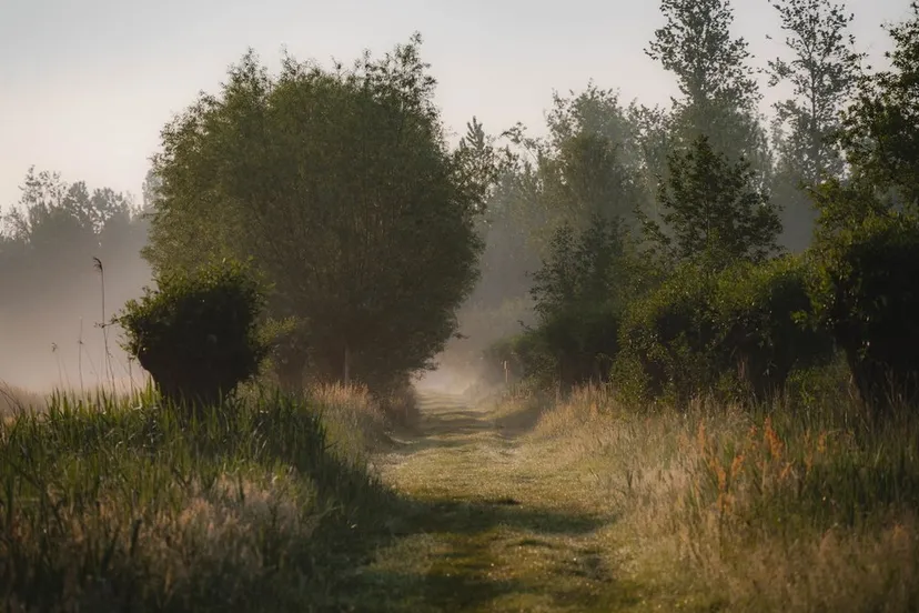 laarzenpad alternatief