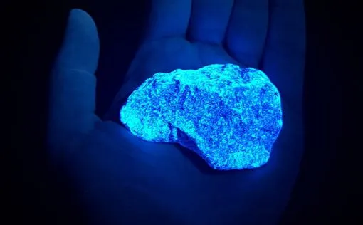 levenslichtdagnacht1