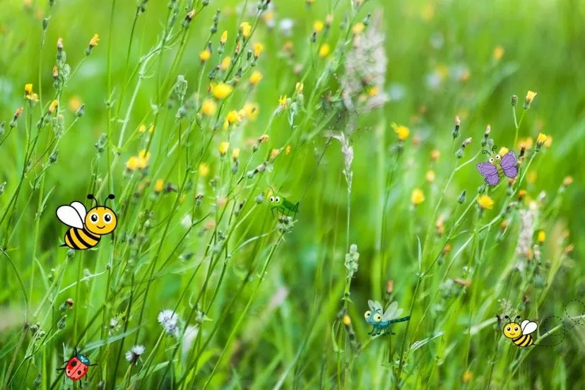 maai mei niet met bijtjes