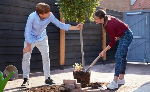 maak plaats voor groen breass dongen klaverblad verzekeringen
