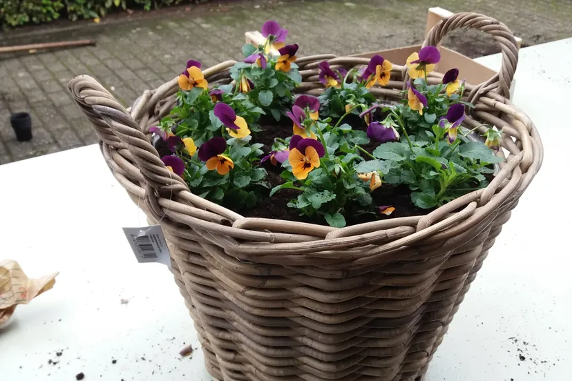 mand klaar 20161022 110137