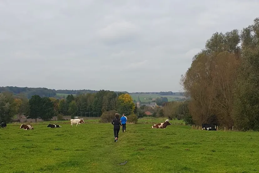 mechelen trail 2021 2