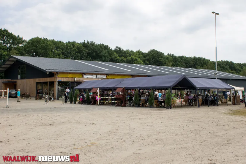 paardenvriend 1 van 12