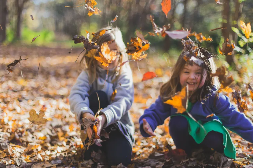 pexels michael morse 1582736