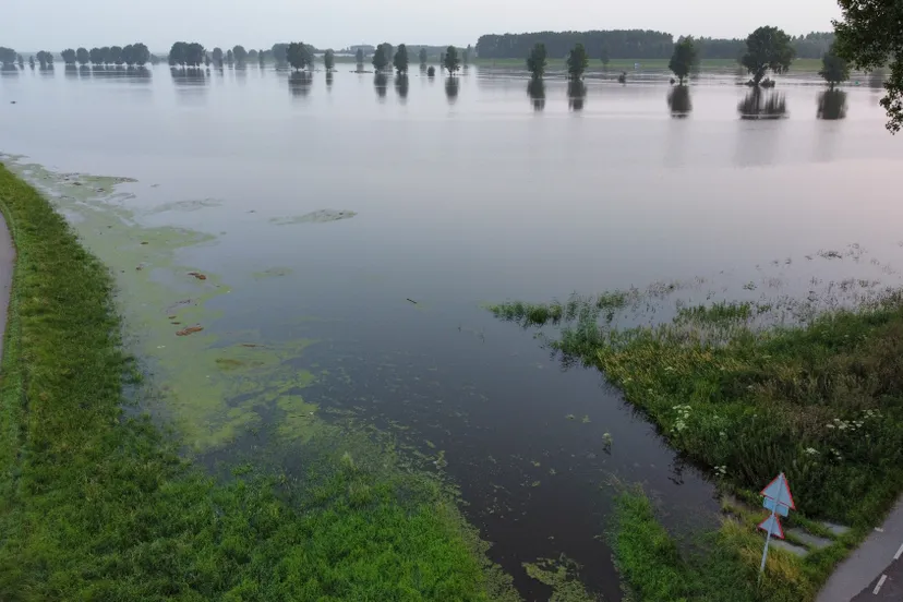 photo 6553890 dji 290 jpg 5063335 0 202172055418 photo original resized