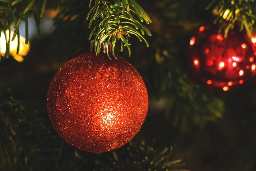 pixnio 1224417 900x600