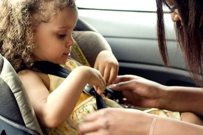 pixnio 930971 2476x3599