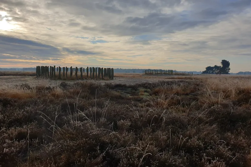 regte hei 2020 2 scaled