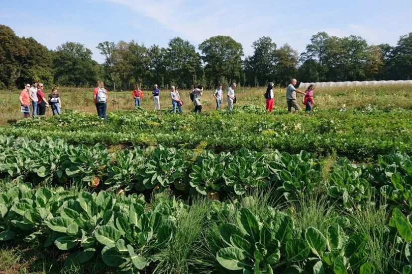 rondleiding herenboeren wilhelminapark