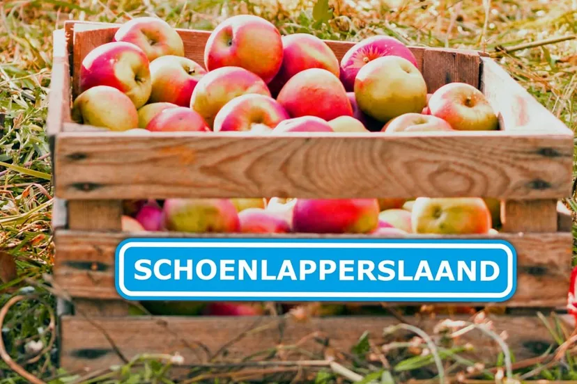 schoenlapperslaand