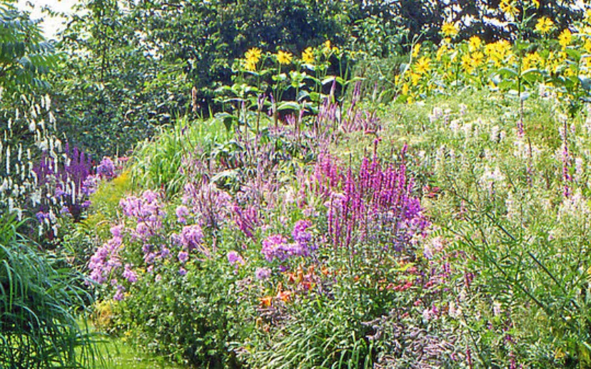 screenshot 20200805 120040 915x518