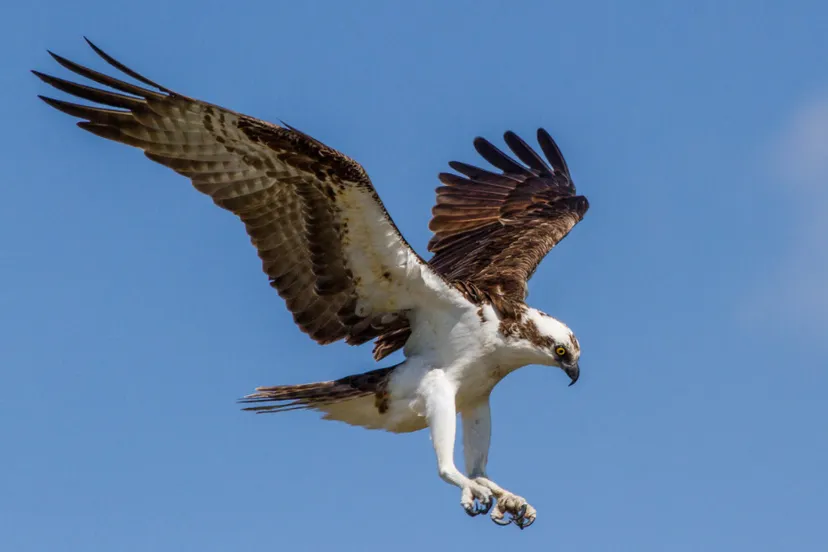 screenshot 20221002 085108