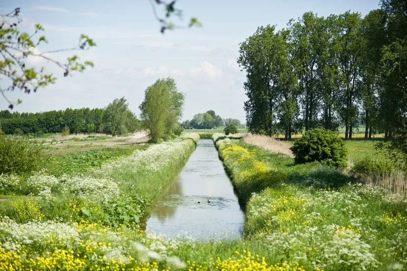 sprang capelle natuurgebied langstraat